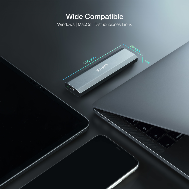 TooQ Shura Caja externa para unidad de estado solido (SSD) Gris M.2