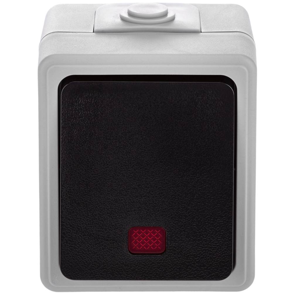Base de superficie estanca IP54 10A 250V con un pulsador