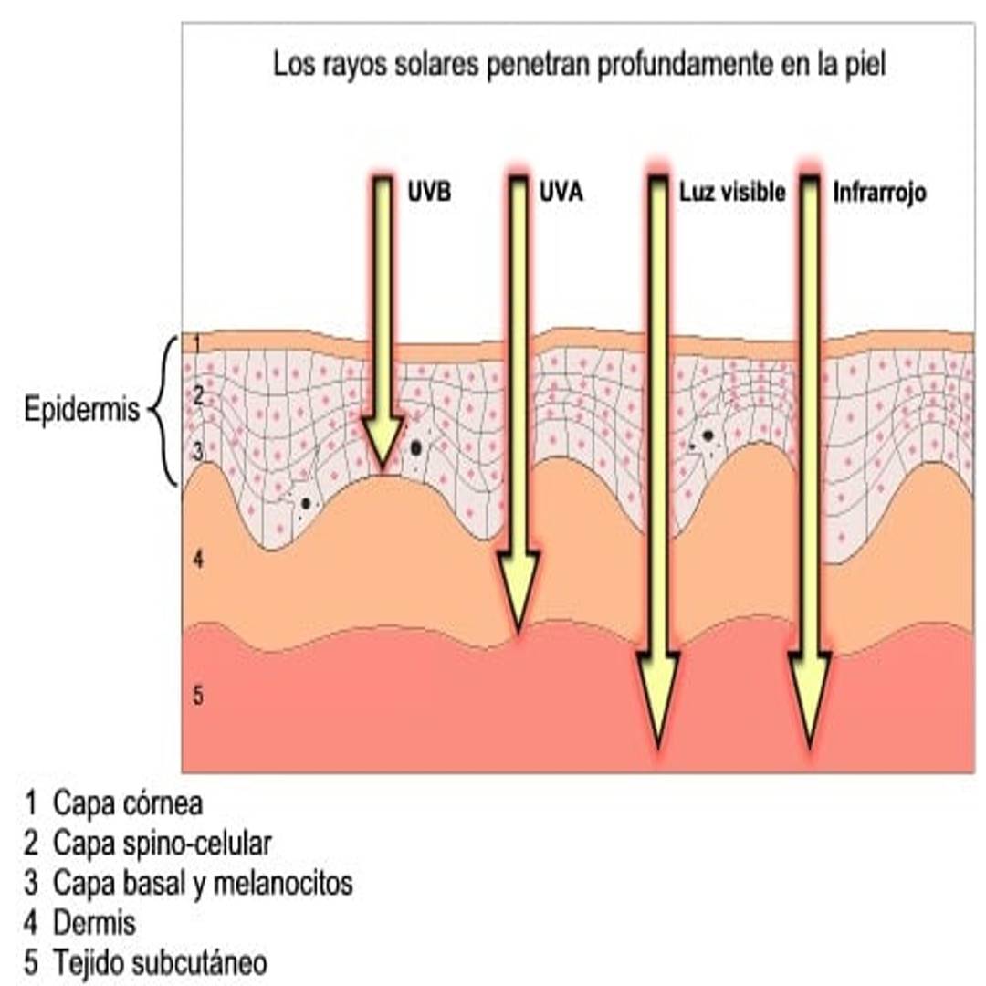Radiómetro PCE-UV34