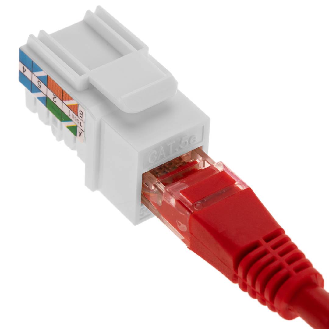 Keystone RJ45 hembra TB110 Cat. 5e UTP pack de 6 unidades