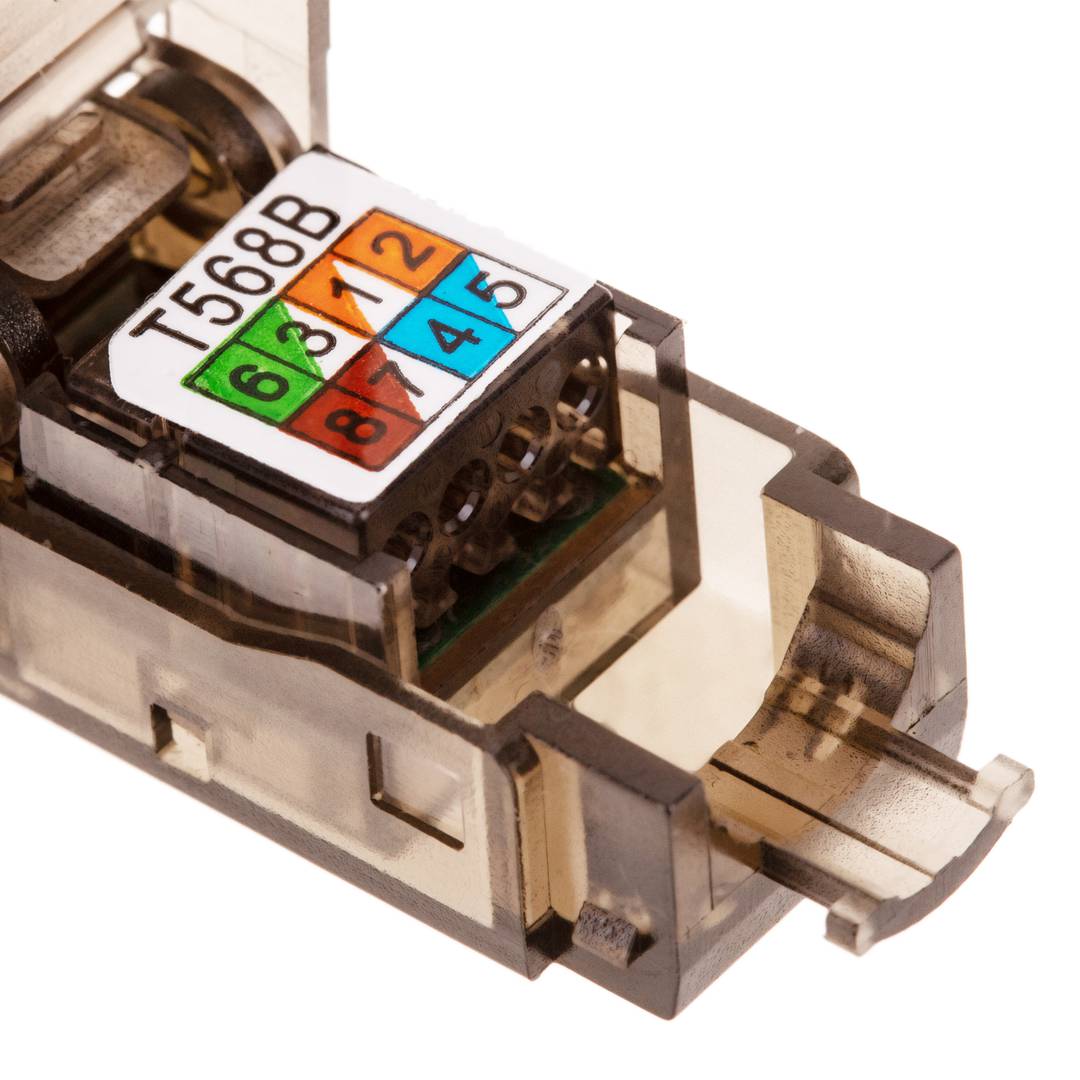 Conector UTP Cat.6 RJ45 macho crimpado automático pack 6 unidades