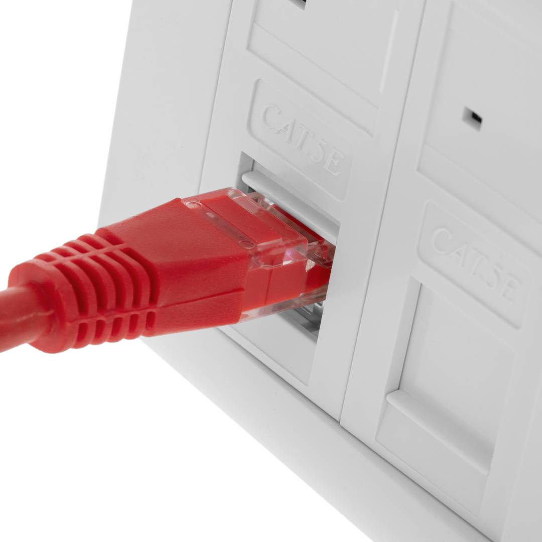 Caja de pared o canaleta de 80x80 con 2 RJ45 FTP Cat.5e 568B